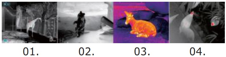 LIEMKE 203385 Challenger 35 Thermal Imaging Optics - SWITCHING THE IMAGE MODE