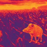 LIEMKE 203385 Challenger 35 Thermal Imaging Optics - cover 2