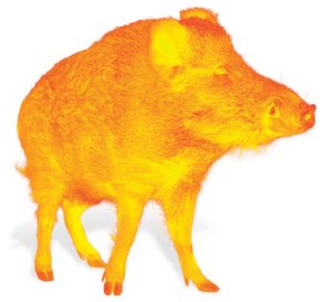 LIEMKE 203385 Challenger 35 Thermal Imaging Optics - cover