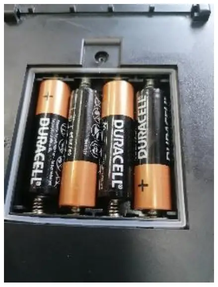 GAINSBOROUGH K845 Tooting Owl Security Light - 3