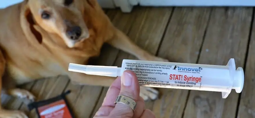 Innovet Tat!syringe Induce Vomiting In Dogs User Guide