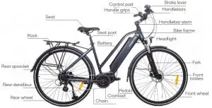 FIG 1 Basic overview