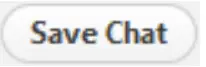 Save chat