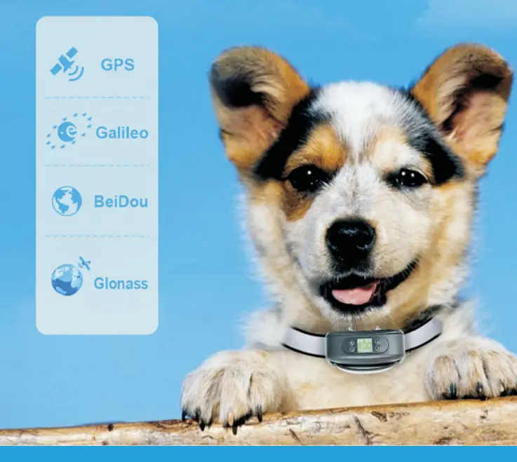 Jiuli D010 GPS Pet Electric Fence-