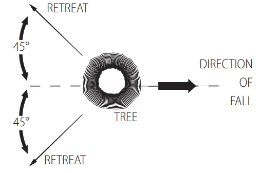 DEWALT DCCS672 60V Max Chain Saw 15