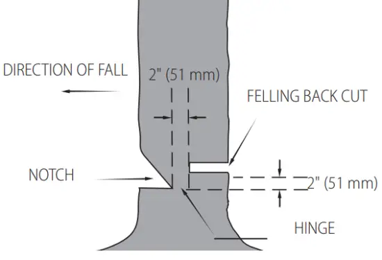 DEWALT DCCS672 60V Max Chain Saw 16