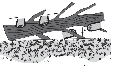 DEWALT DCCS672 60V Max Chain Saw 17