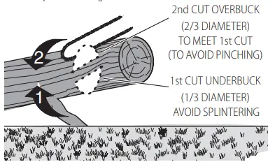 DEWALT DCCS672 60V Max Chain Saw 20