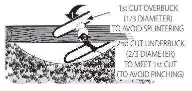 DEWALT DCCS672 60V Max Chain Saw 21