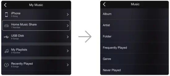 Arylic S50PRO Wireless Streaming Preamplifier - NAS