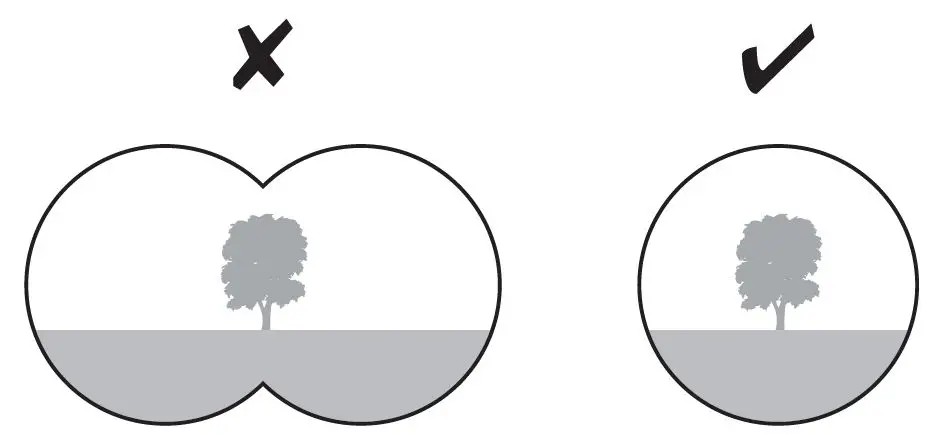 NATIONAL-GEOGRAPHIC-80-76540-Expedition-Series-25mm-Compact-Roof-Binoculars-fig5