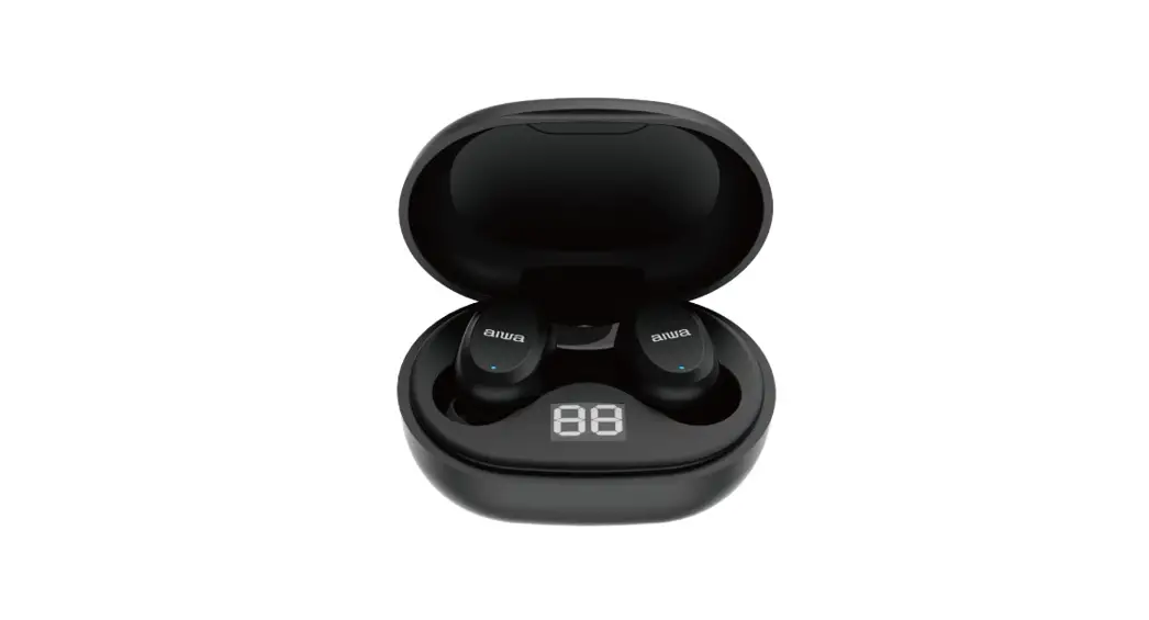 Aiwa At-x80j True Wireless Earbuds User Manual