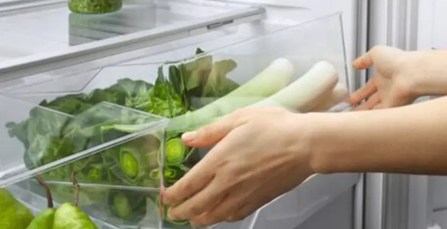 Fisher Paykel Rf201adx5 N Freestanding French Door Refrigerator User Guide