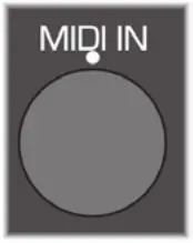 Rhythmic Step Sequencer Generator - MIDI