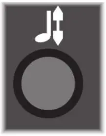 Rhythmic Step Sequencer Generator - Voltage Generator