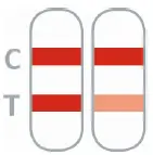 nal-252017N-05-NADAL-Mononucleosis-Test-fig-3