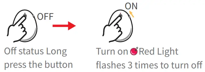 JZW Shop Pocket Egg Pair - power on