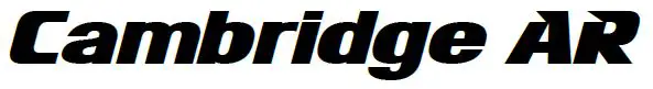 Cambridge AR logo