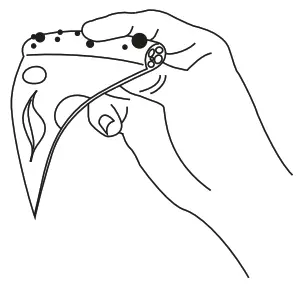 Sage SPZ820 the Smart Oven Pizzaiolo Pizza Maker - pizza