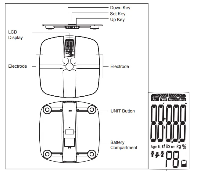 GALLET-PEP-257-Bathroom-Body-Analysis-Scale-1