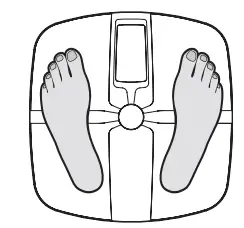 GALLET-PEP-257-Bathroom-Body-Analysis-Scale-12