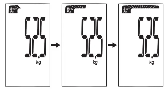 GALLET-PEP-257-Bathroom-Body-Analysis-Scale-13