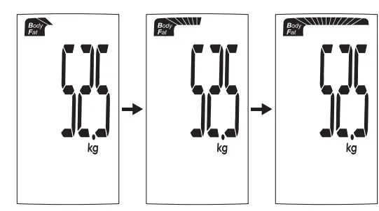 GALLET-PEP-257-Bathroom-Body-Analysis-Scale-15