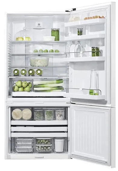 FISHER PAYKEL E522BRWFD5N Freestanding Refrigerator Freezer