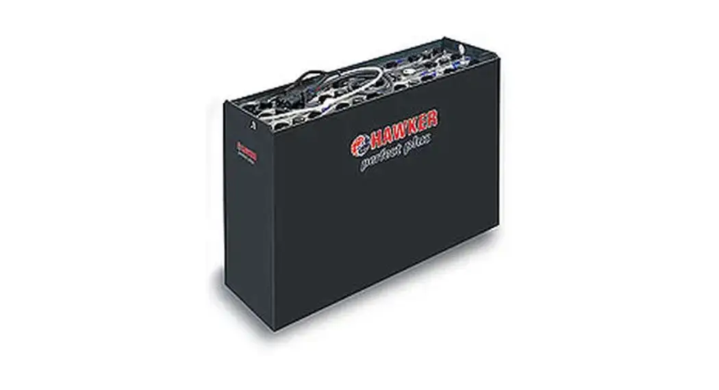 Enersys Perfect Plus Lead-acid Battery Instruction Manual