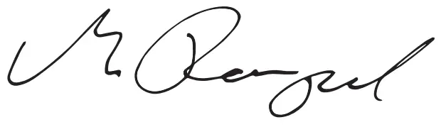 DEWALT DCGG571 XR Li Ion Drill Driver - fig 2