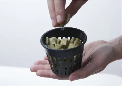 SucSEED-Grow-Garden-Kit-fig-5