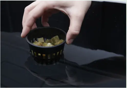 SucSEED-Grow-Garden-Kit-fig-6