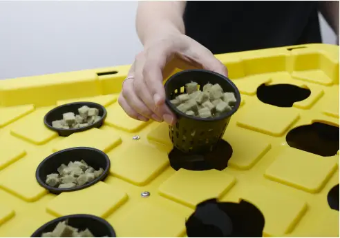 SucSEED-Grow-Garden-Kit-fig-7