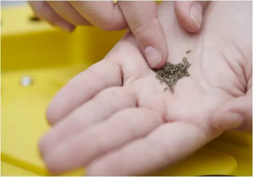 SucSEED-Grow-Garden-Kit-fig-8