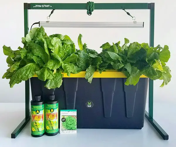 SucSEED-Grow-Garden-Kit-product