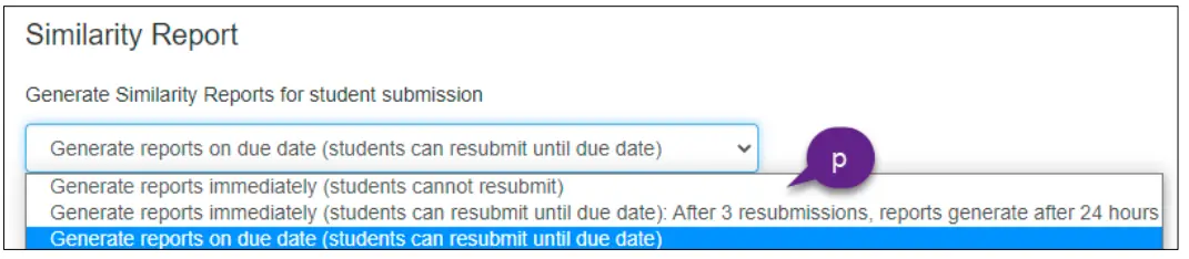 MANCHESTER-1824-How-to-set-up-a-Turnitin-FIG-5