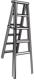 Step ladder
