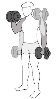 SPORTSTECH-AH150-Dumbbells-and-Barbells- (13)