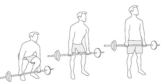 SPORTSTECH-AH150-Dumbbells-and-Barbells- (21)