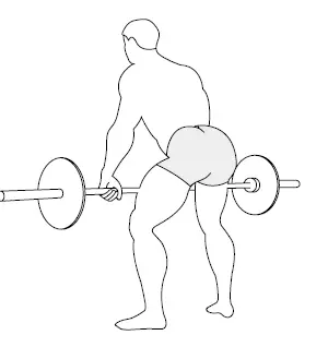 SPORTSTECH-AH150-Dumbbells-and-Barbells- (22)