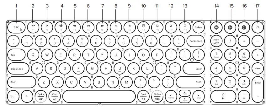 Targus 000125 Multi-Device Midsize Bluetooth Keyboard with Tablet Stand - Function keys