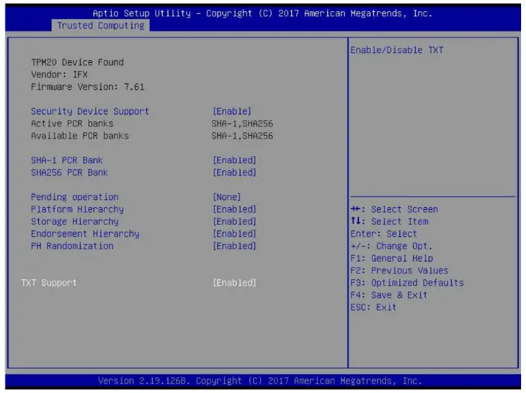 SUPERMICR AOM TPM 9670V Trust Platform Module Vertical - Enabling the TPM in the BIOS 7