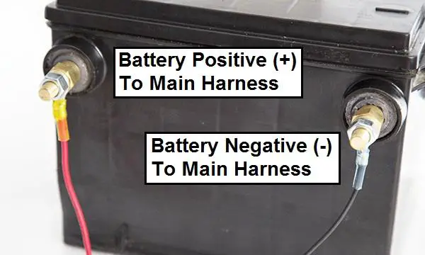 ATOMIC-MSD-EFI-20-Master-Kit-Natural-fig9