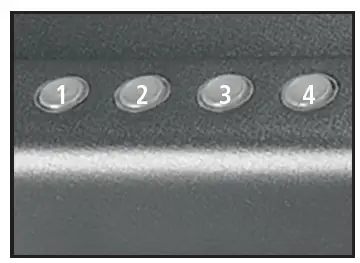 SentrySafe QAP1BLX Biometric Pistol Safe fig 3