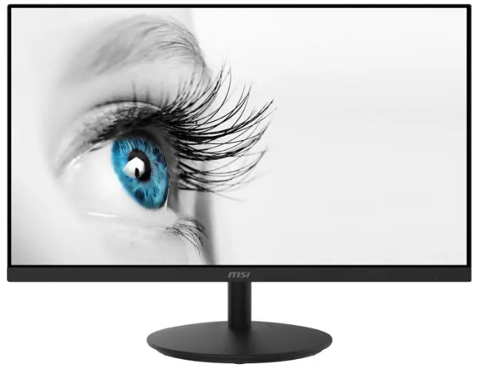 msi-PRO-Series-PRO-MP242C-LCD-Monitor-image