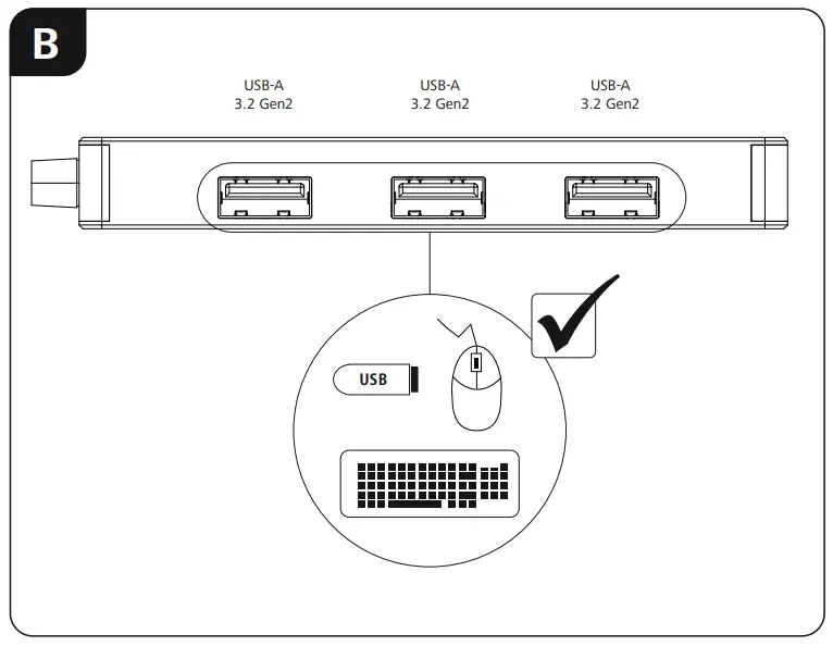 Startup and Operation