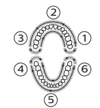 Philips HX9954-56 Rechargeable Electric Power Toothbrush(2)