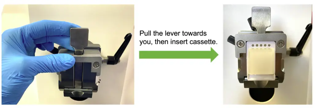 Insert a cassette or tissue block into the specimen head clamp