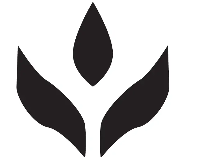 AIGOSTAR-330800WEJ-AROMA-Diffuser-05