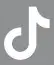 Tiktok Icon